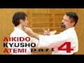 Aikido ATEMI Nervendruckpunkte bei Yokomen Uchi - Aikido, Atemi, Kyusho (Dimmak) Elemente Teil 4