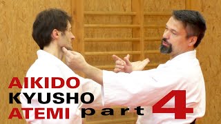 Aikido ATEMI Nervendruckpunkte bei Yokomen Uchi - Aikido, Atemi, Kyusho (Dimmak) Elemente Teil 4