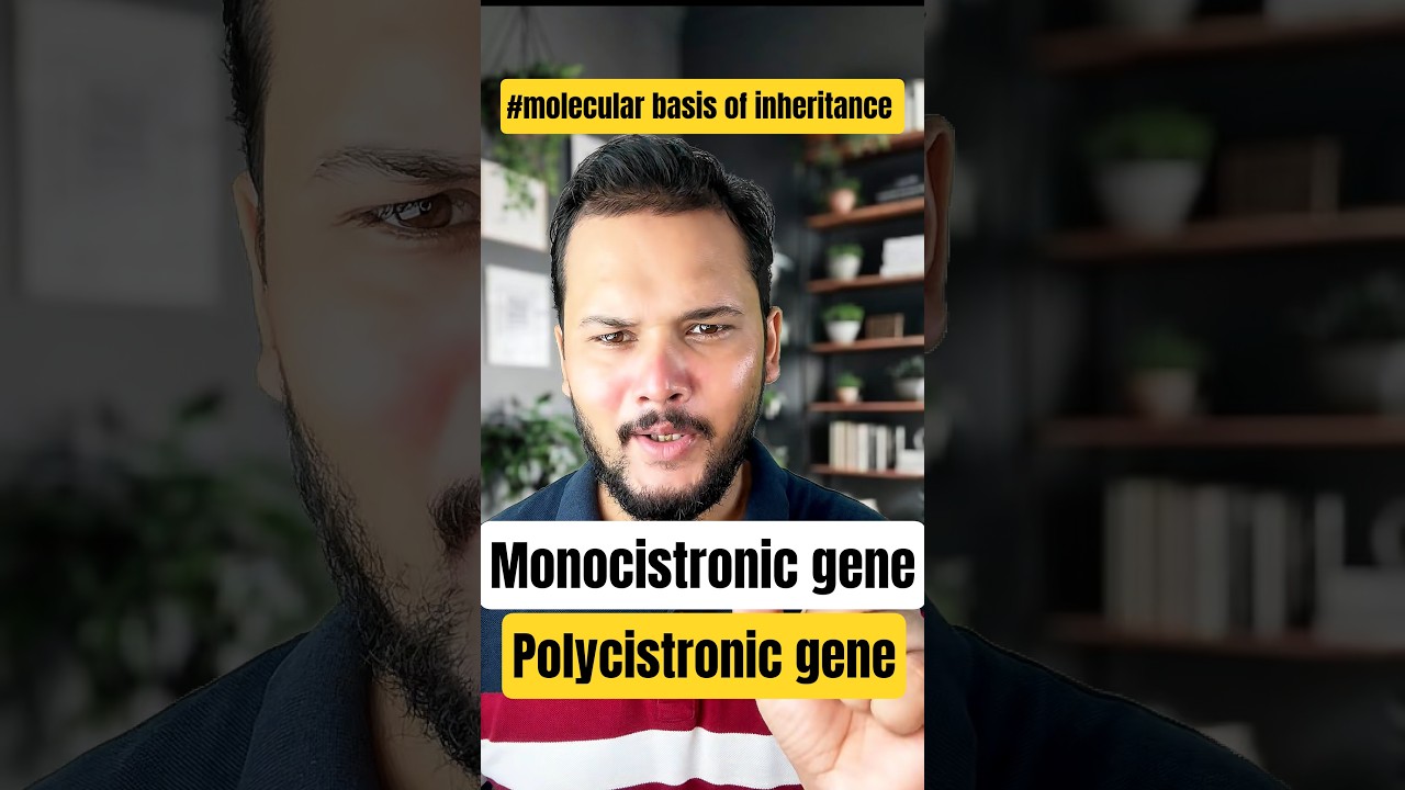 Monocistronic vs Polycistronic Genes | Difference Explained in Simple Way | NEET & Class 12 Biology