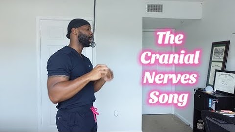 The Cranial Nerves Song