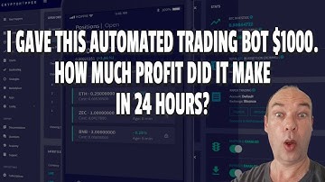 Cryptohopper Low Risk Trading Bot Strategy Results After 24 Hours