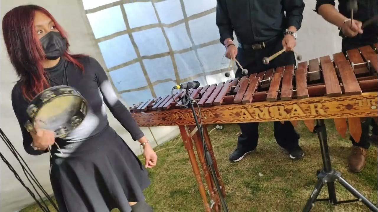 Tatuajes ️🌹🥰 con Marimba Tradicional "Ámbar" 7225308862 / Marimba en