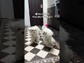 デザインと機能性を両立|ベイジャフロールのマット