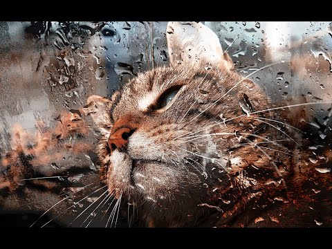 Relaxation for sleep/Rain Sound and Relaxation For Deep Sleep /Звук Дождя/Для Глубокого Сна