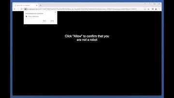 nonspewpa.com ads - how to remove?
