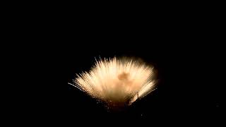 FFW2026 130F