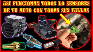 ¿Cuál es la función de un sensor?