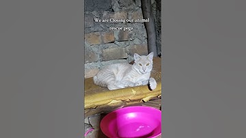 Every bit of your support counts Click on the link in our bio to donate for any support #help #viral