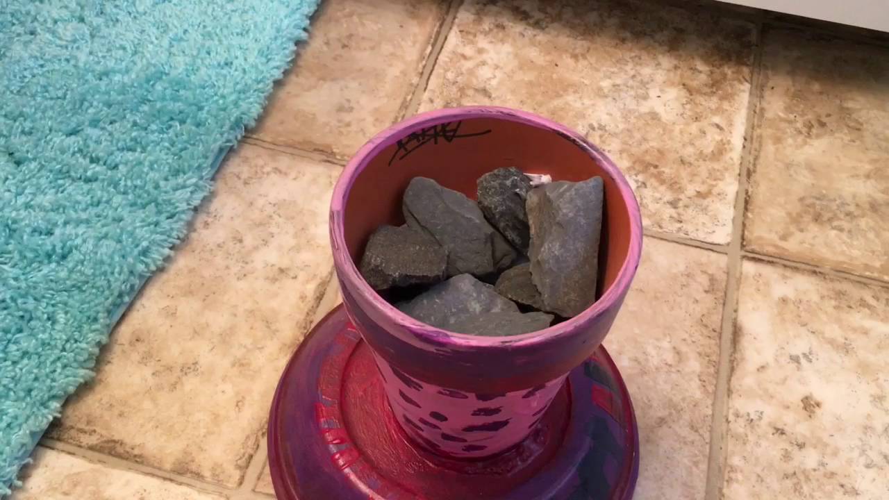 DIY Fake Cactus Plant! YouTube