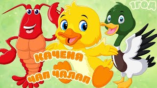 картинка: Веселе каченя Чап Чалап