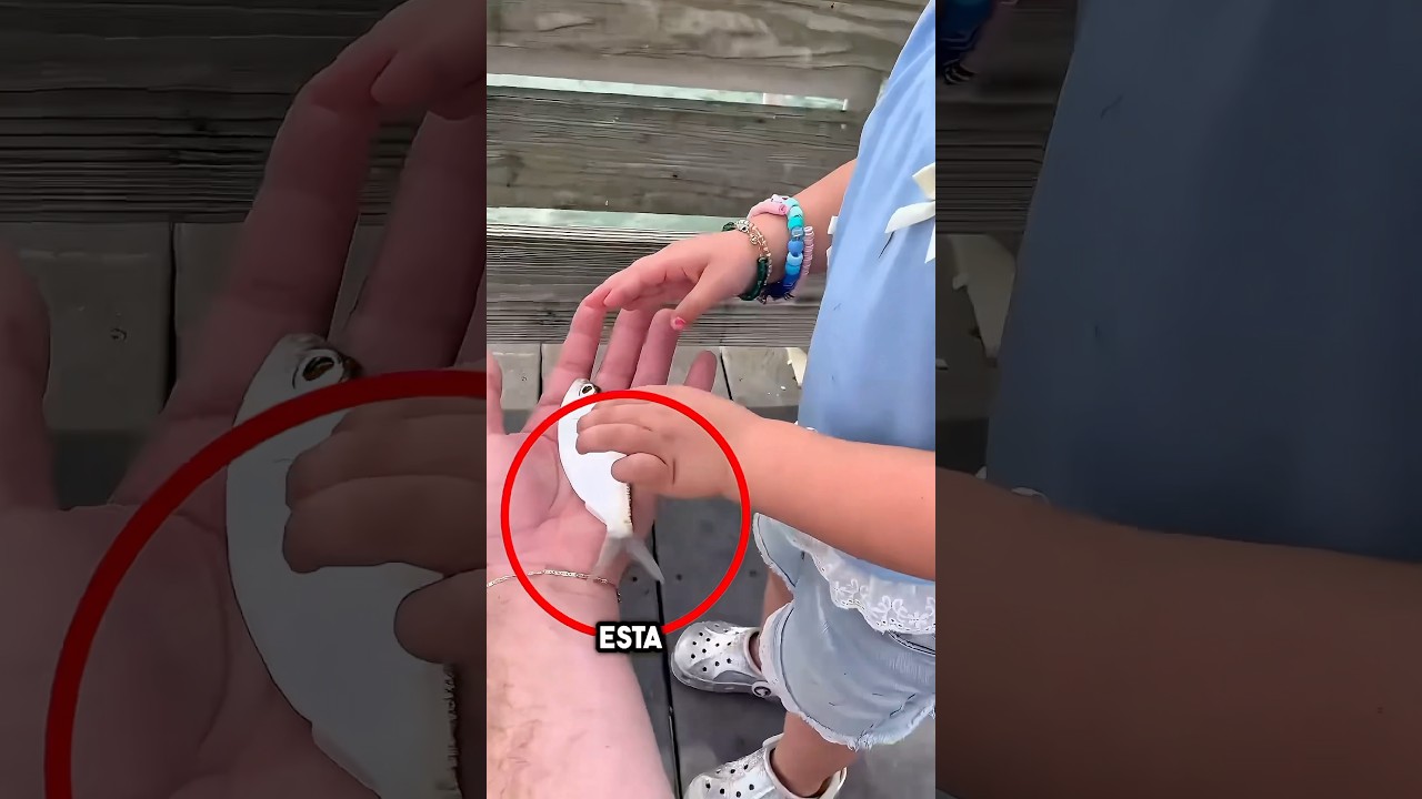 un pato atacó a una chica