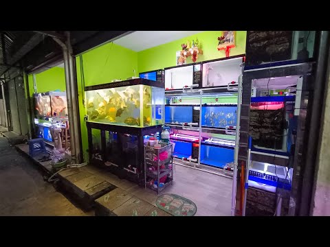 งานติดตั้งชุดปั๊มลมสำรองไฟจ่ายลมทั้งระบบในรูปแบบ Station ที่ร้านพี่เนตรและพี่หมู สนามหลวง 2 Set 2