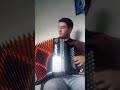 preço certo - Pedro mafama (concertina cover)