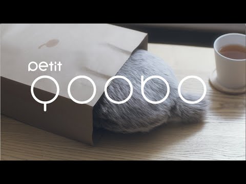 Petit Qoobo | A petit tailed cushion that heals your heart.