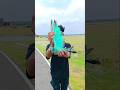 Bus vala kis ko bula rha hai 👀😂🕊️ #pigeon #publicreaction #reaction #reactionvideo #shorts #runts