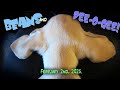 Beans and Dee-O-Gee! (2/2/2025)