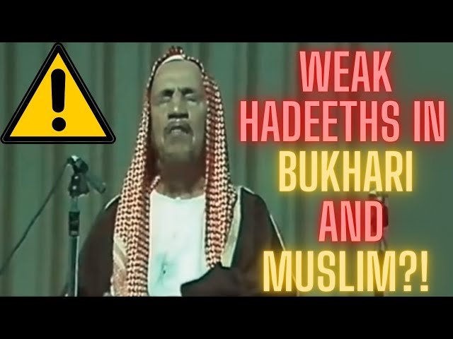 Weak Hadiths in Bukhari and Muslim?! Sh. Ibn Baz class=