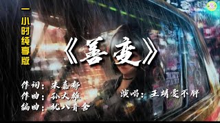 《善变》一小时纯享版🎵王靖雯不胖演唱【高品质音质•动态歌词lyrics】