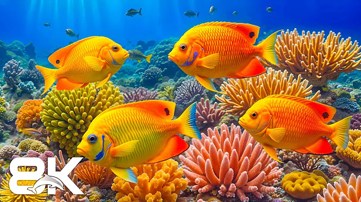 Dream Aquarium 8K – Exotic Fish & Calming Ocean Sounds for Restful Sleep & Relaxation