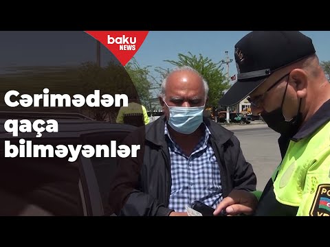 YPX əməkdaşları Salyanda reyd təşkil edib - Baku TV