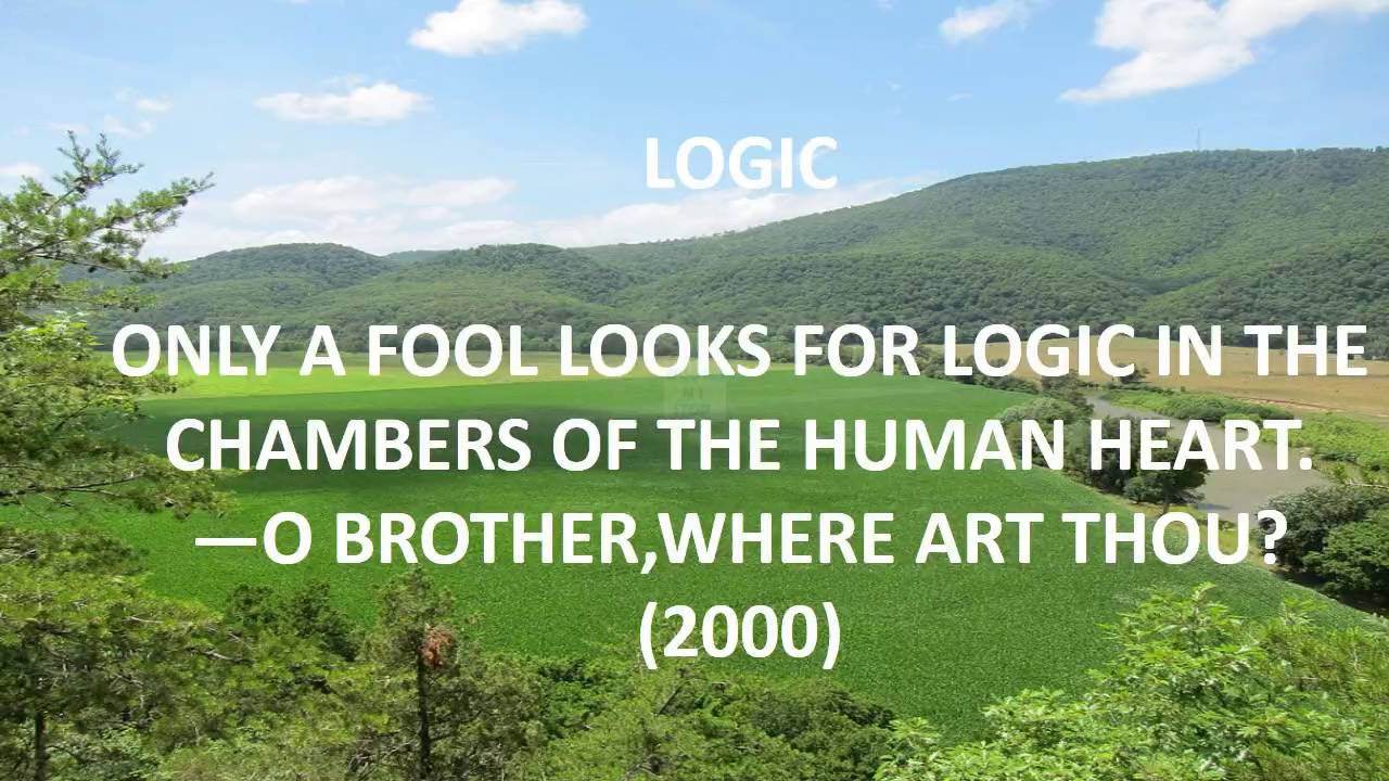 top 10 dumbest quotes.mp4 YouTube
