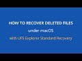 How to recover deleted files under macOS with UFS Explorer Standard Recovery