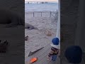 Lakeside Cottage Heron Encounter