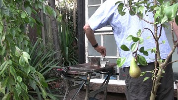 Starting And Running A PAW 1.5cc Diesel Model Engine.