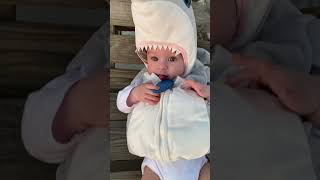Cutest baby shark ever!!