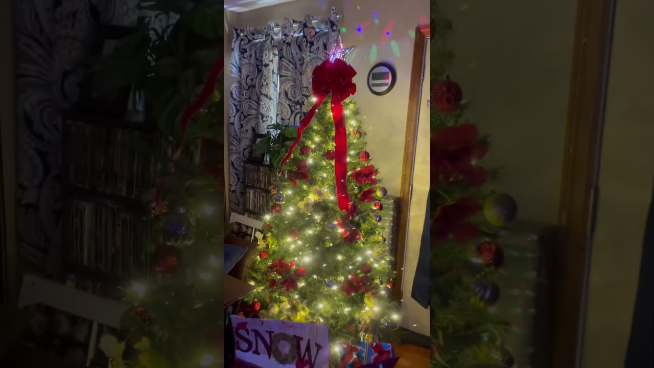 Merry Christmas everyone!🎄❤️ 