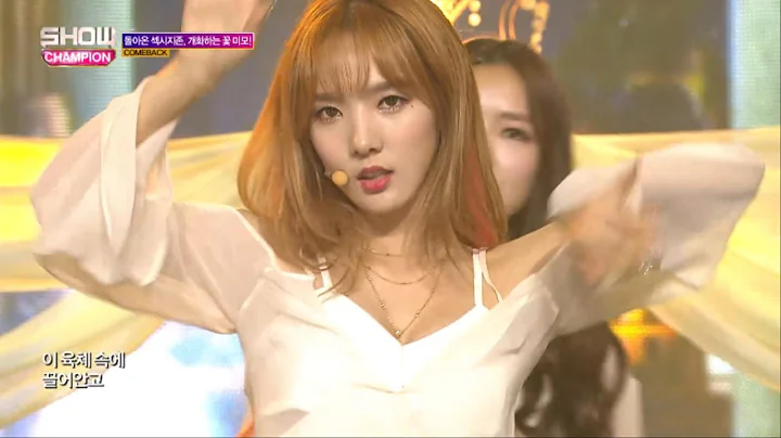 스텔라 - 세피로트의 나무