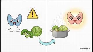 Eat Smart, Balance Hormones | The 5 Pillars of Nutrition 🧘‍♀️