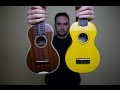 $20 Ukulele vs $1000 Ukulele Comparison