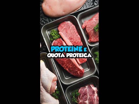 Quota PROTEICA dopo ALLENAMENTO