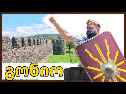 გონიოს (აფსაროსის) ციხე-სიმაგრე