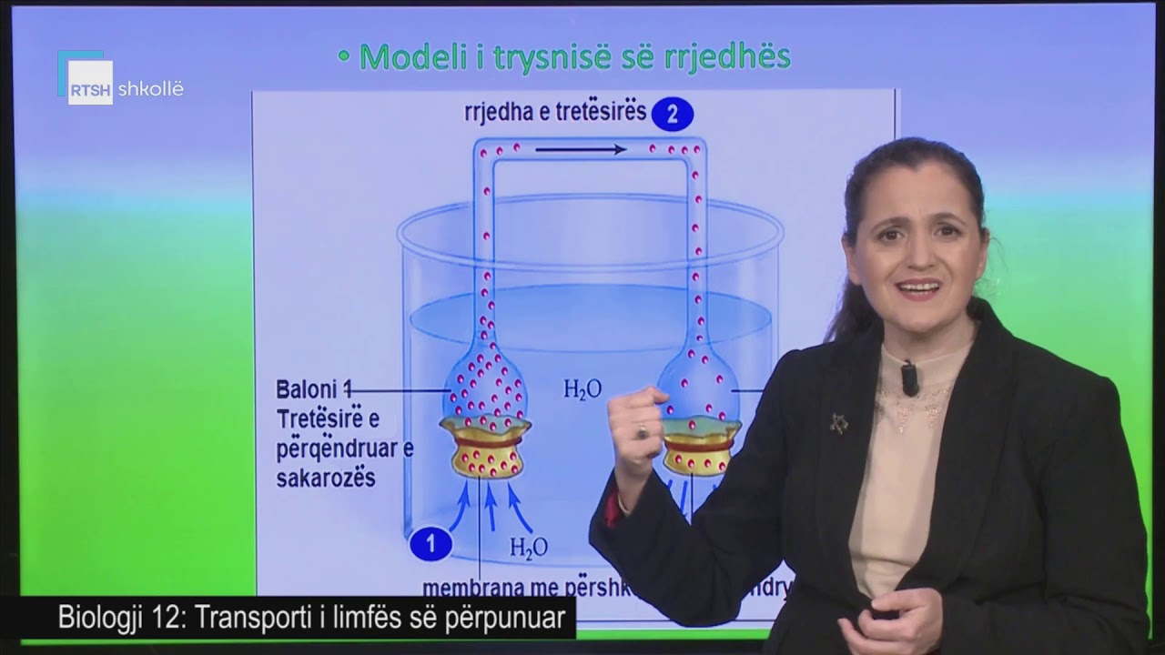 Biologji 12 - Transporti i limfës së përpunuar