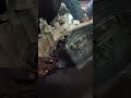 Honda Amaze clutch problem ! Honda Amaze clutch plate and pressure plate problem #Honda#shortvideo