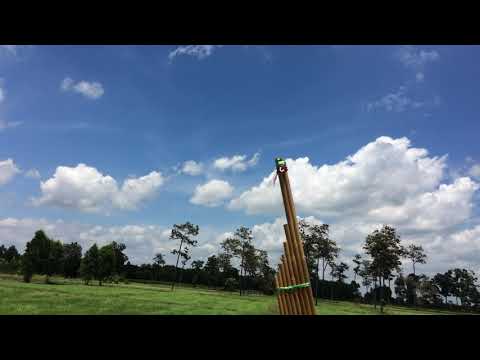 เป่าแคนลายลมพัดใบข้าวดอ คีย์ Em แคนช่างพรศักดิ์ ชาสงวน
