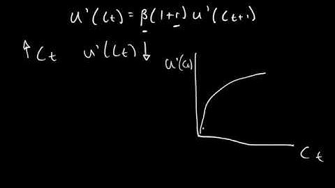 Euler Equation in Economics - Interpretation