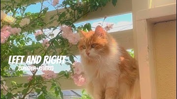 Charlie Puth - Left And Right (feat. jungkook of BTS) | speedup + reverb