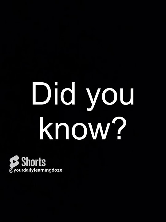 what-countries-produce-the-most-sugar-generalknowledge-learning