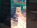 sniper 3d assassingameplay tapgameplay quickscope 