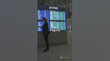 24 Hours Without Wi Fi : Could You Survive?