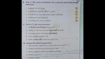 class 2 Evs Worksheet lesson 3 "Growing Up"