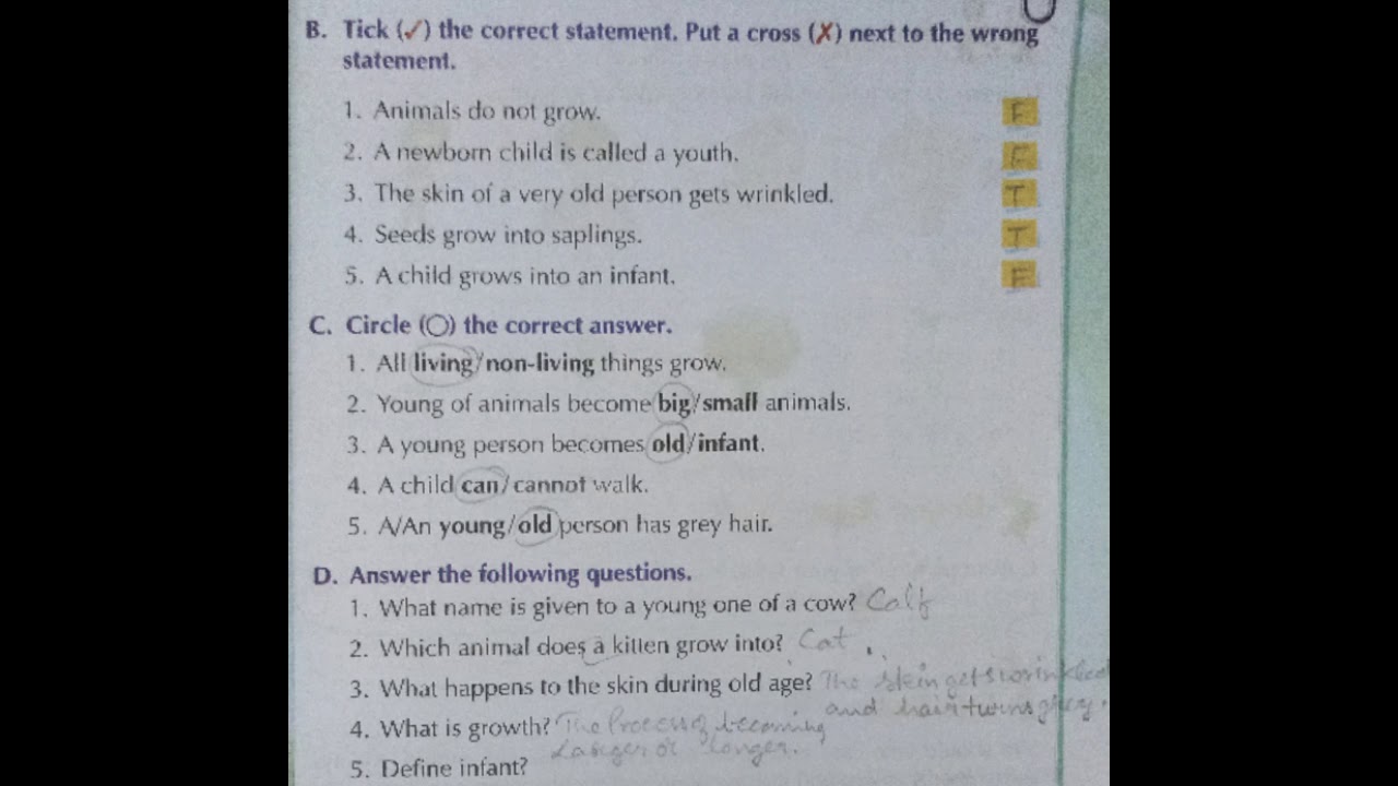 class 223 Evs Worksheet lesson 23 "Growing Up" For When I Grow Up Worksheet