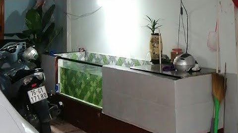 Hồ Cá Koi 1 Khối 3 Mặt Tường 1 Mặt Kính Đẹp - Lọc 2 Ngăn Hoạt Động Tốt.Hồ Của Em Phụng Ở Quãng Ngãi.