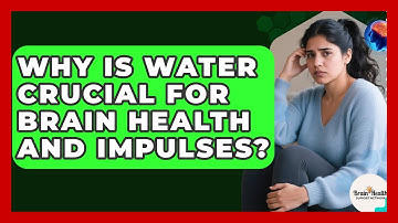 Why Is Water Crucial For Brain Health And Impulses? - Brain Health Support Network