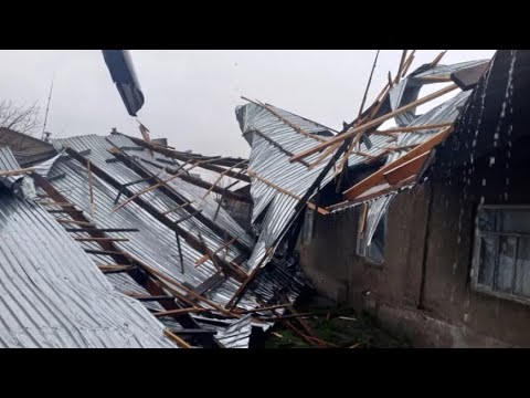 Двое человек погибли во время урагана в Москве. Ветер сбивал с нног людей и вырывал деревья