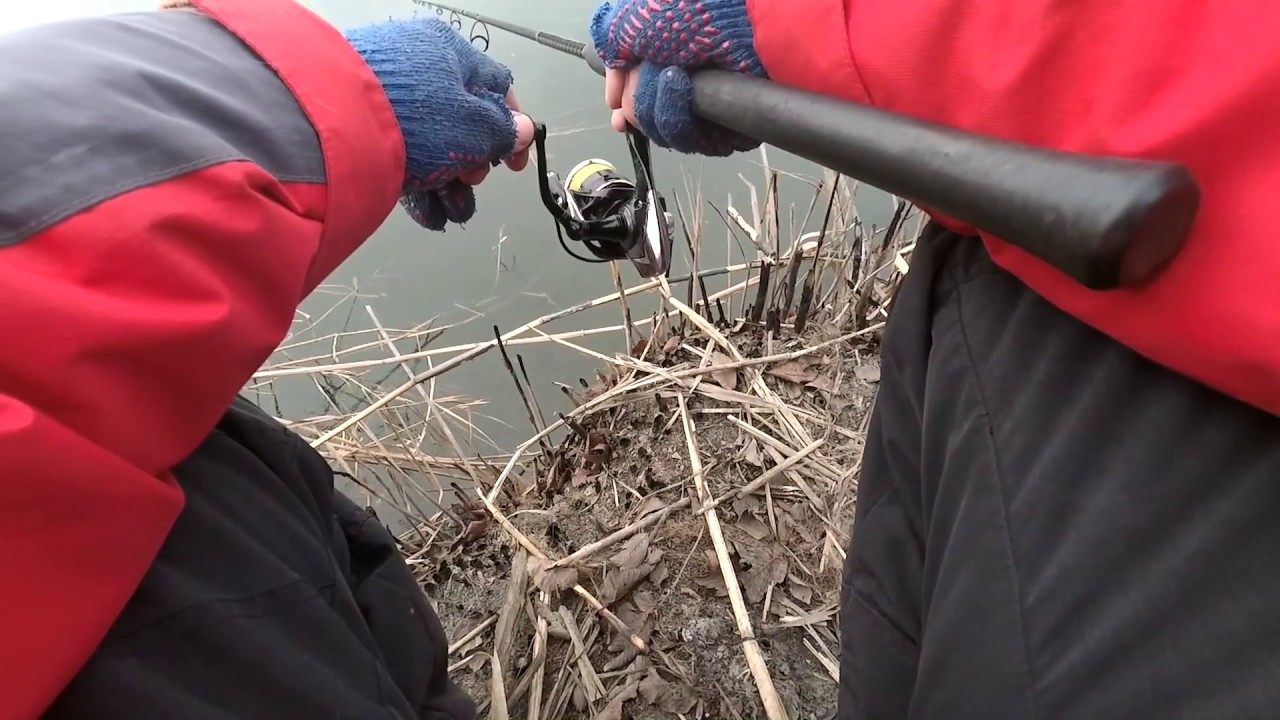 Спиннинговая рыбалка. Поклевка щуки. - YouTube