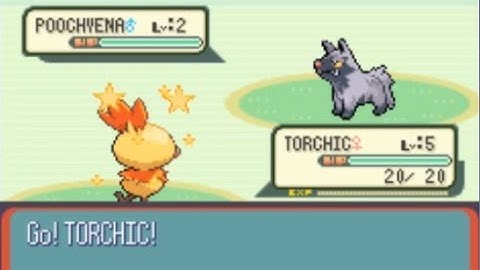 [LIVE] Shiny Torchic in Ruby! First Gen 3 Shiny